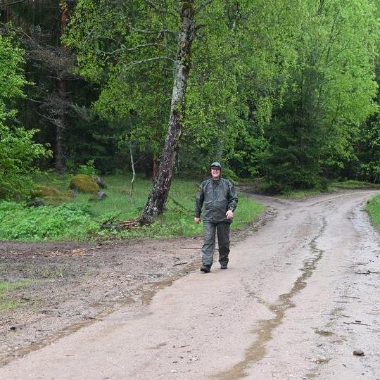 Iliustracija