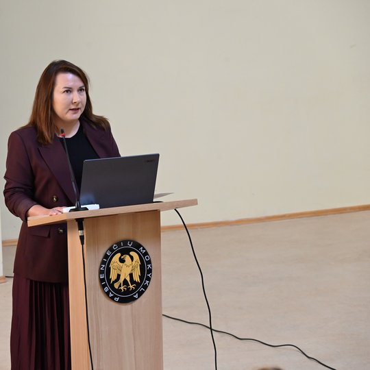 Iliustracija