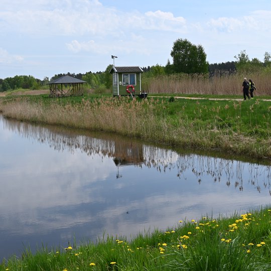 Iliustracija