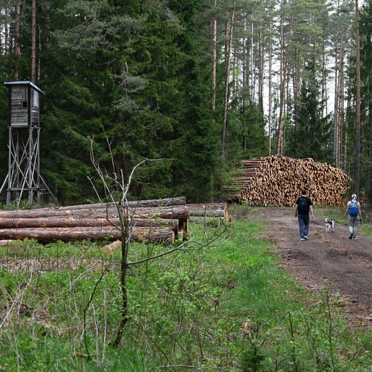 Iliustracija