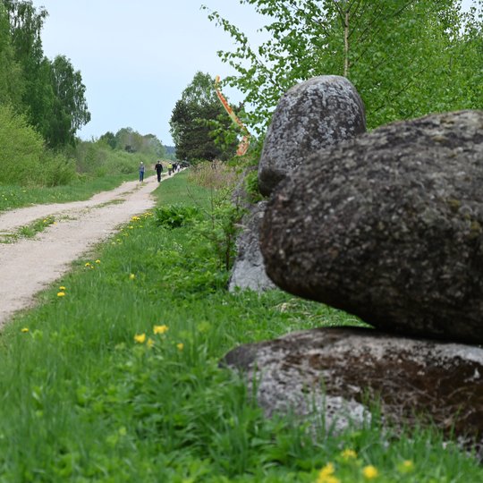 Iliustracija