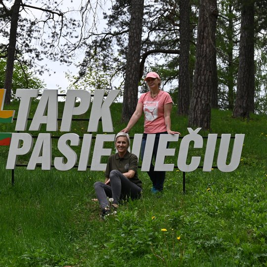 Iliustracija
