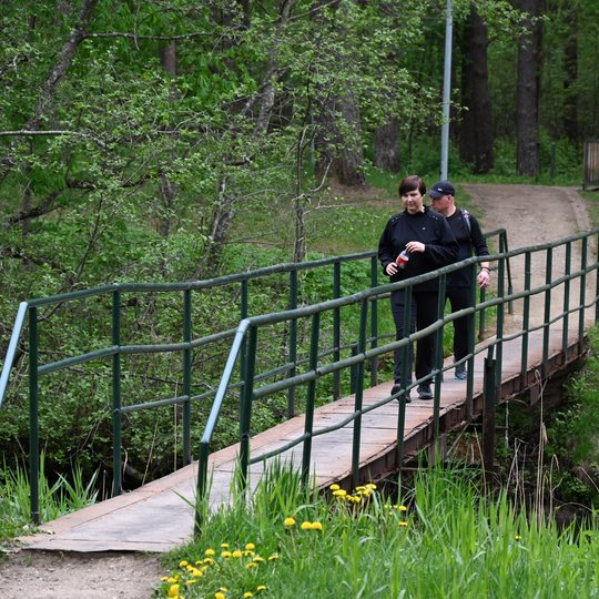 Iliustracija